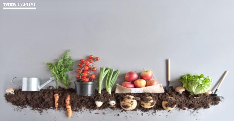 How To Start Organic Farming in India