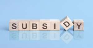 What is a subsidy: Meaning, types, categories, and business schemes