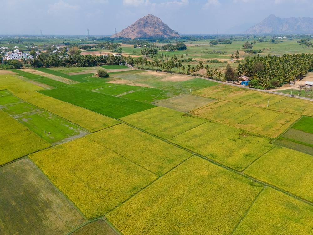 An overview of the Directorate of Land Records & Survey of NagalandIntroduction