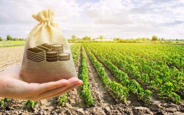 Agriculture Land Loan: How to Buy Farmland in India